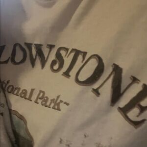 Yellowstone National Park Graphic T-Shirt